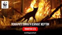 „Пожарите винаги взимат жертви“